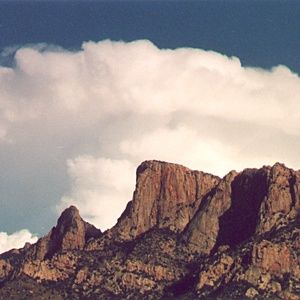 Meet your Posher, Kat